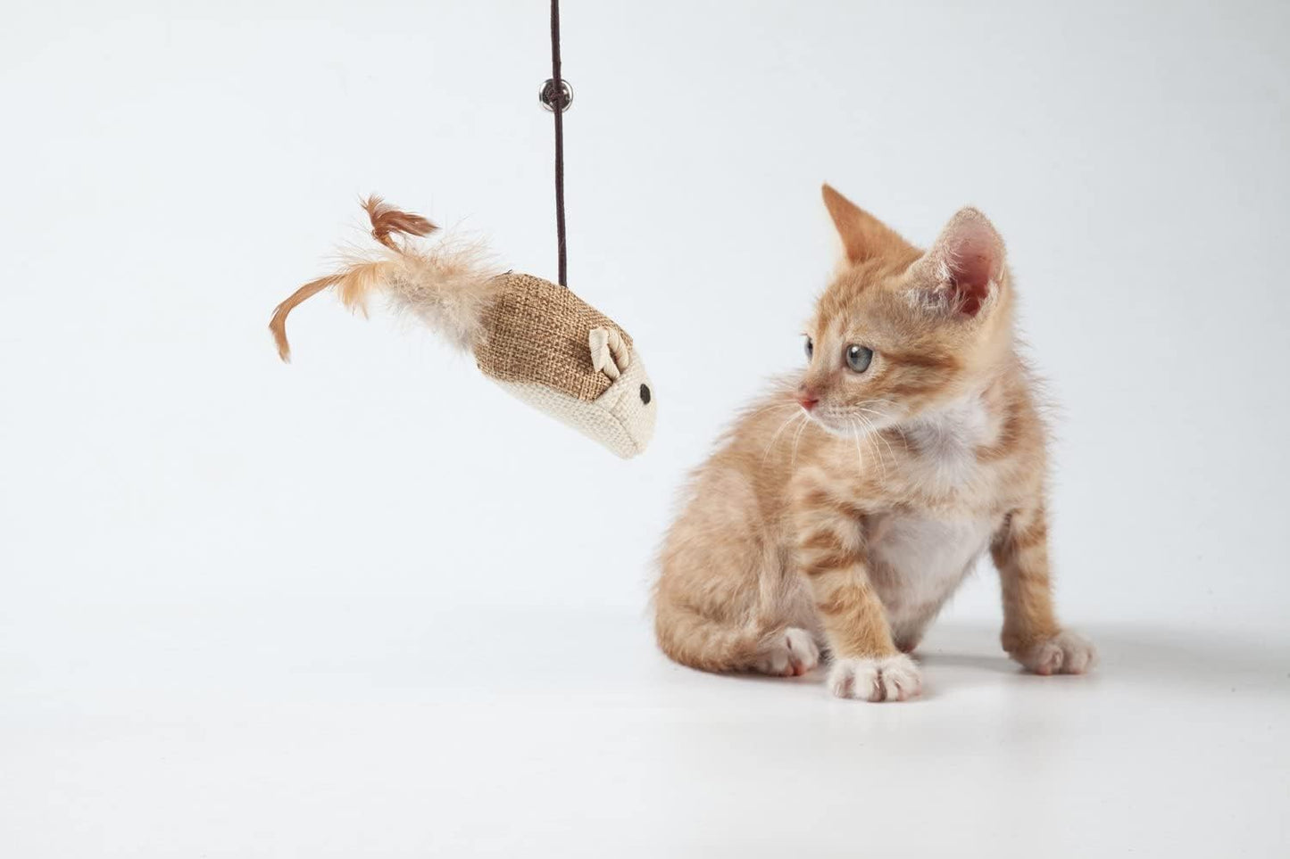Ultimate Feline Playtime Bundle: Engaging Cat Toy Set with Sisal Wands, Interactive Mouse, Jingle Bell, Feather Teaser, and Elastic String for Endless Fun