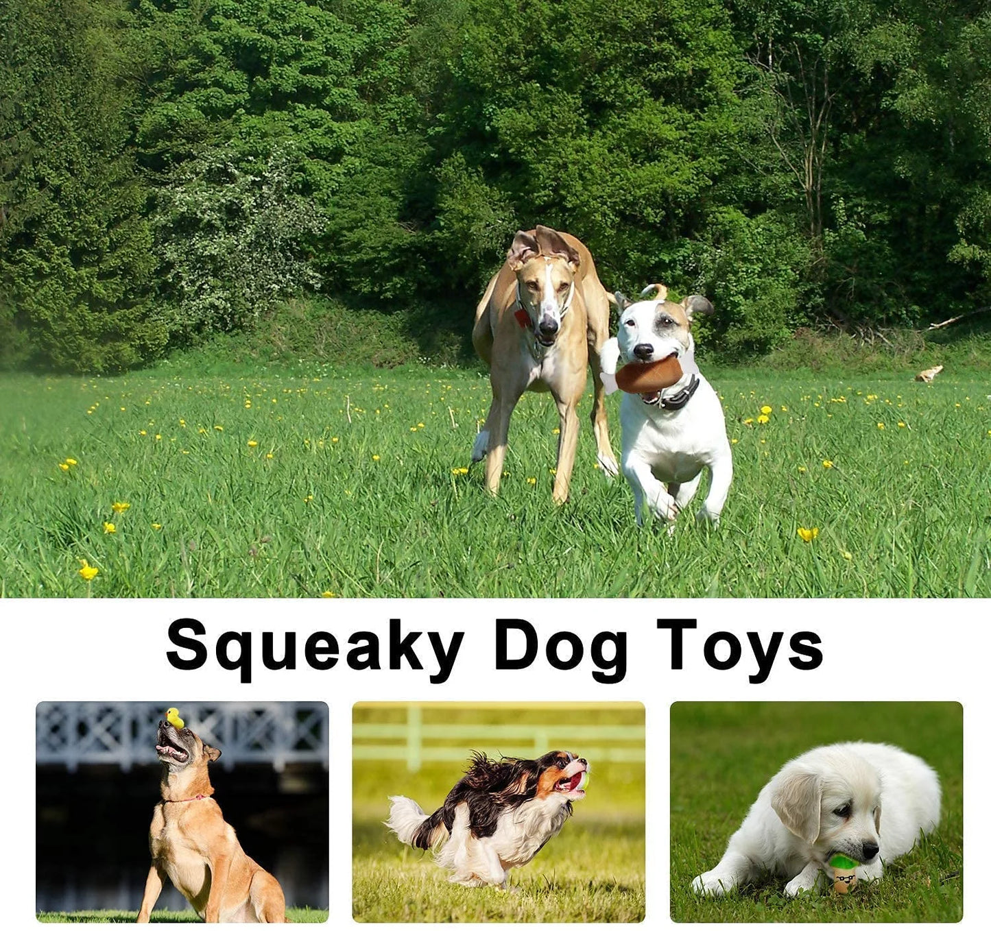 Squeak Frenzy! 14 Cute Fruit & Veggie Plush Toys for Playful Cats and Dogs