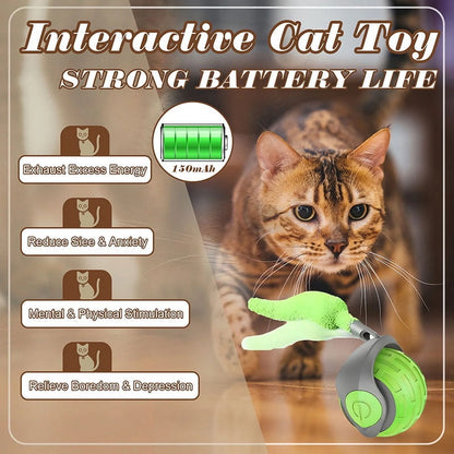Rechargeable Interactive Cat Ball Toys with Faux Tails - 2 Pack Smart Indoor Fun for Your Feline Friend